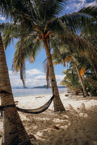 hammock on the beach