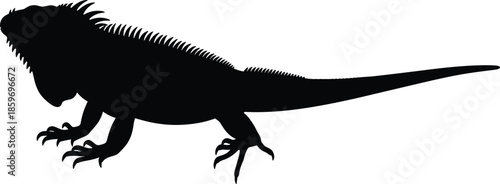 Black iguana lizard silhouette isolated on white background, reptile animal vector illustration, wildlife symbol, tropical exotic creature design, icon, graphic