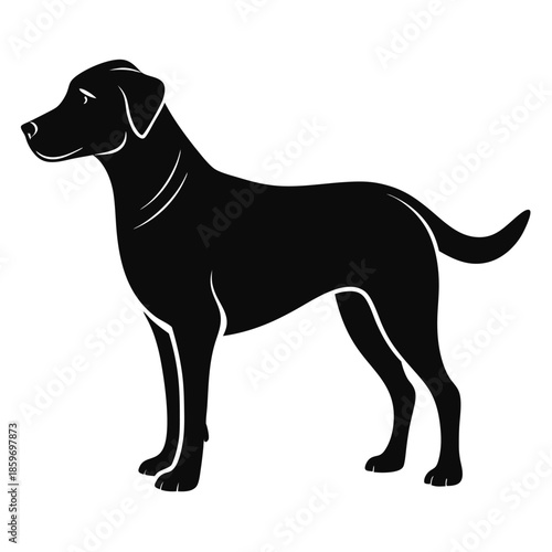 labrador retriever dog line art silhouette vector illustration