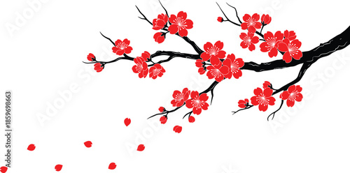 Red cherry blossom branch illustration with falling petals isolated on white background elegant oriental floral nature art design