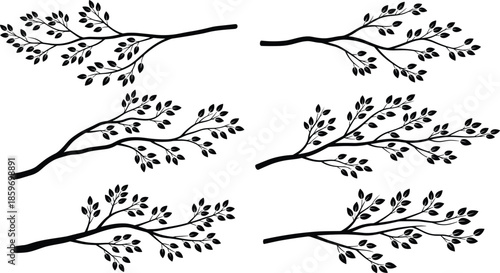 Set of black leafy branch silhouettes isolated on white background elegant botanical nature vector illustration decorative design elementsWeb