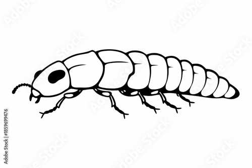 Insect Larva Black and White Line Art