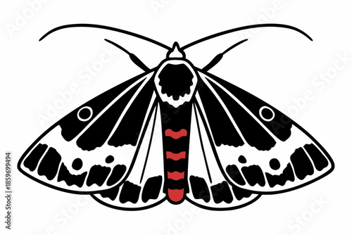 Minimalist Moth Insect Vector Art Illustration