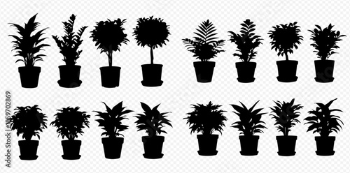 Set of potted houseplant silhouettes, including various indoor plants in pots, isolated on a transparent background.