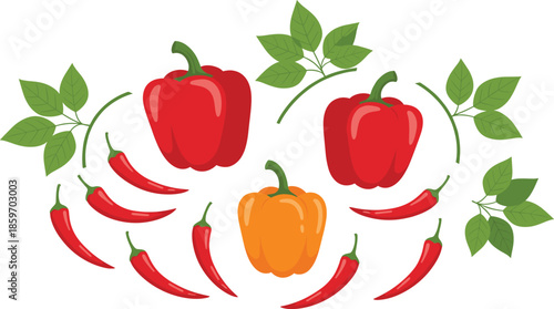Fresh pepper vector set featuring red bell peppers orange capsicum and spicy chili peppers with green leaves isolated on white.