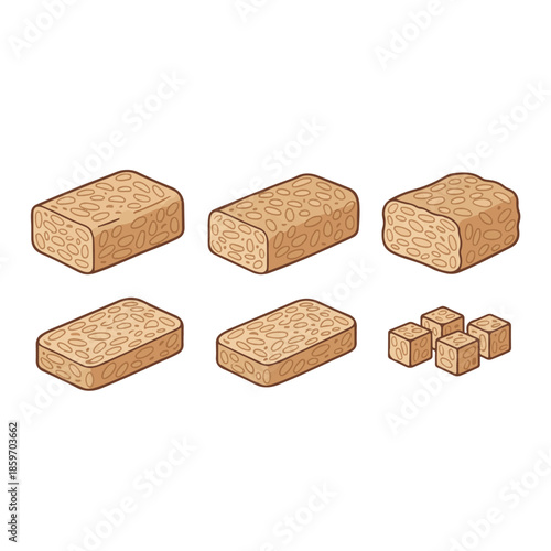 Detailed Vector Illustration Showcasing Fresh Fermented Soybean Tempeh in Multiple Culinary Preparations, Including Whole Blocks, Slices, and Cubes, Perfect for Plant-Based Recipes and Healthy Eating