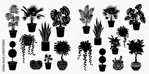 Set of various indoor house plants and potted flowers silhouettes on transparent background.