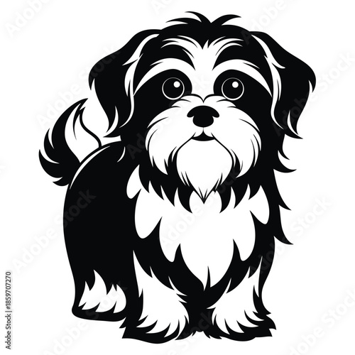 shih tzu line art silhouette vector illustration