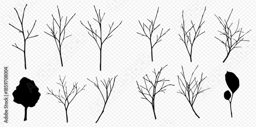 Set of bare tree branches and a silhouette of a leafy tree on a transparent background.