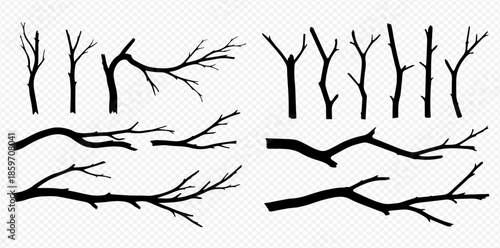 Set of black bare tree branches and twigs silhouettes isolated on a transparent background.
