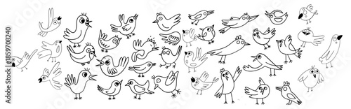 Collection of cute, handdrawn doodle bird sketches in black outline isolated on