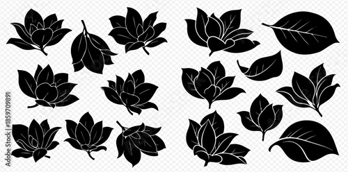 Set of black silhouettes of magnolia flowers and leaves, elegant floral design elements.