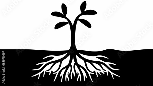 A striking black and white split silhouette illustrating a plant with its visible root system extending deep into the ground.