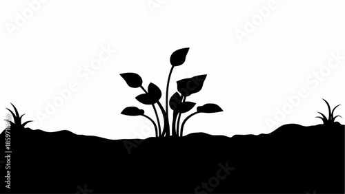 A silhouette of a small plant growing from the earth with minimal surrounding vegetation.
