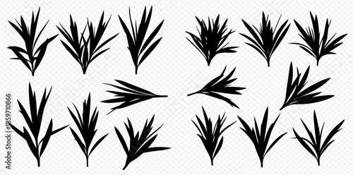 Set of grass silhouettes, black vector illustration of various natural plant elements.