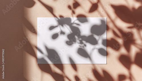 Blank Card With Blooming Flowers and Shadows on a Light Background During Day...