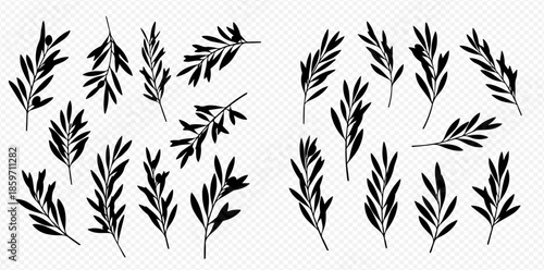 Set of hand-drawn rosemary branches in black and white, perfect for culinary and herbal designs.