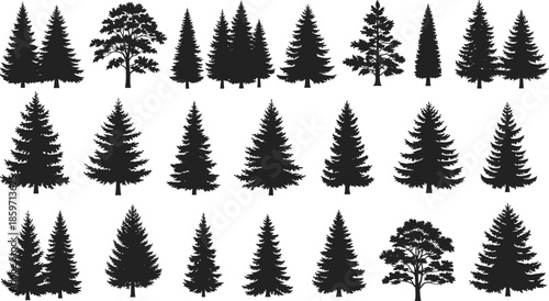 Assortment of black silhouettes of coniferous and deciduous trees Keywords: tree, trees, silhouette, black, white background