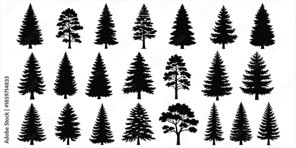 Fototapeta premium Assortment of twenty black silhouette coniferous trees and one deciduous tree pine