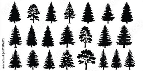 Assortment of twenty black silhouette coniferous trees and one deciduous tree pine