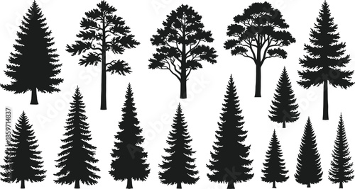 Assortment of Silhouetted Trees and Evergreen Conifers Keywords: tree, pine, fir, spruce, conifer, deciduous, silhouette, black