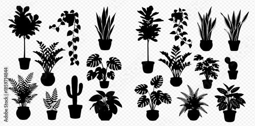 Collection of various houseplant silhouettes in pots, creating a decorative and natural indoor garden.