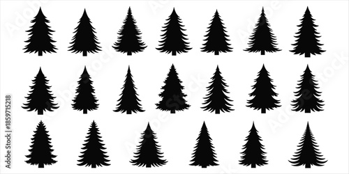 Collection of 18 Black Pine Tree Silhouettes of Different Shapes and Sizes fir tree evergreen