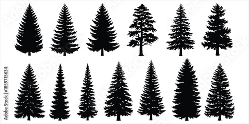 Collection of Black Silhouette Pine and Fir Trees Keywords: tree, silhouette, pine, fir, evergreen, conifer, nature, forest