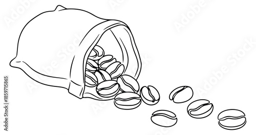 Hand drawn line art illustration of coffee beans depicting spilling from a sack for cafe menu design