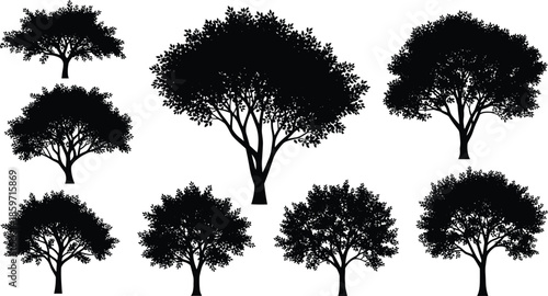 Collection of Black Silhouette Trees with Dense Foliage on White Background vector illustration