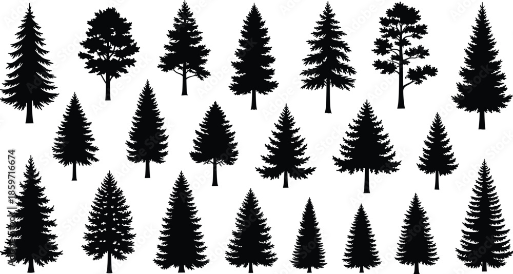 Obraz premium Diverse collection of black silhouettes of coniferous and deciduous trees on white nature forest