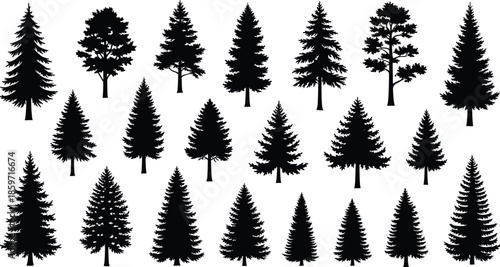 Diverse collection of black silhouettes of coniferous and deciduous trees on white nature forest