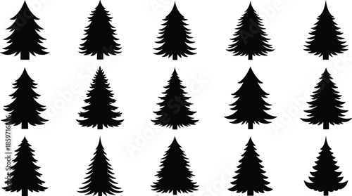 Fifteen Black Silhouette Evergreen Trees in Three Rows on White Background Keywords: pine tree, fir tree, spruce tree, evergreen