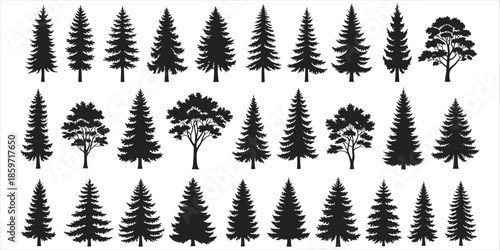 Large Collection of Diverse Black Silhouette Trees on White Background Keywords: pine tree, fir tree, spruce tree, evergreen