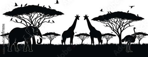 African safari wildlife silhouette landscape, giraffes elephant rhinoceros acacia trees birds, dramatic savanna nature scene, black white vector illustration