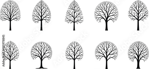 Ten black and white silhouettes of deciduous trees without leaves on a white background Keywords: tree, trees, silhouette, black