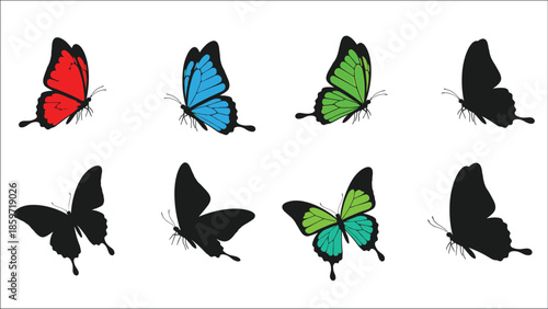 Colorful butterflies and their silhouettes shown in a simple illustrative style