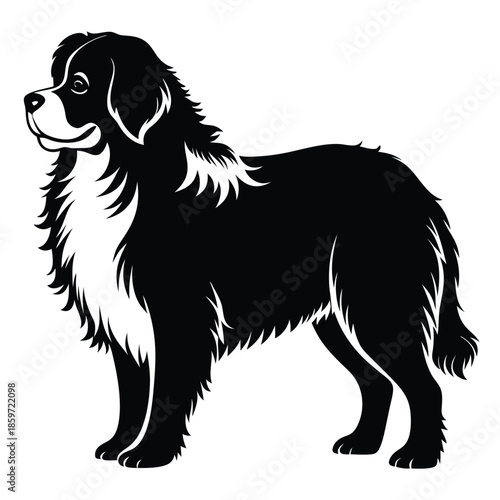 newfoundland line art silhouette vector illustration