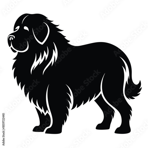newfoundland line art silhouette vector illustration