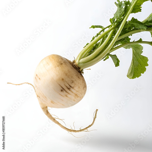 Turnip floating isolated on white background, fresh organic vegetable.