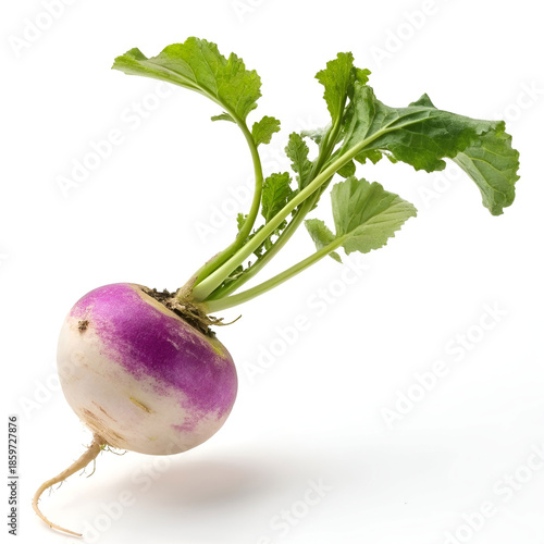 Turnip floating isolated on white background, fresh organic vegetable.