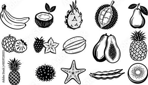 Tropical Fruit Vector Illustration Set Featuring Bananas Coconut Dragon Fruit Durian Pear Lychee Starfruit Papaya Pineapple Rambutan Starfish Vanilla and Kiwi