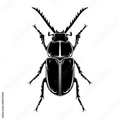 Illustrated stag beetle