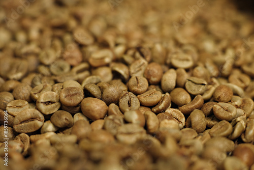 Photos A high-quality background of raw, unroasted green coffee beans showing natural t