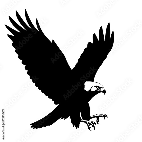 Majestic eagle in flight