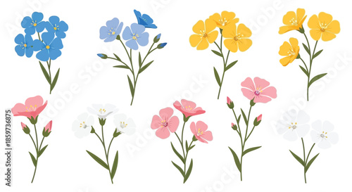 A collection of colorful wildflowers including forget me nots pink and white blossoms