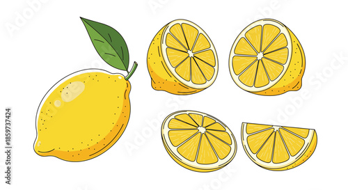 Botanical set of hand-drawn yellow lemon illustrations including a whole fruit with leaf, halves, and triangular slices on a white background.