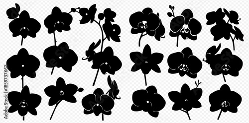 Collection of beautiful orchid flower silhouettes, elegant tropical plant vector illustrations for design projects.