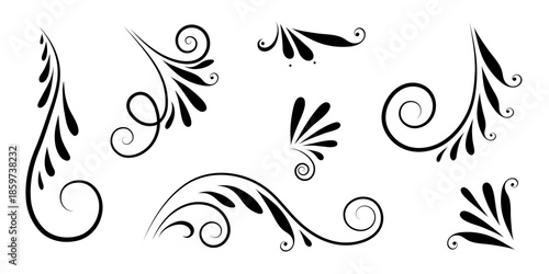 A set of vector filigree flourishes for design. A collection of decorative elements, ornaments, curls. Calligraphy decoration.