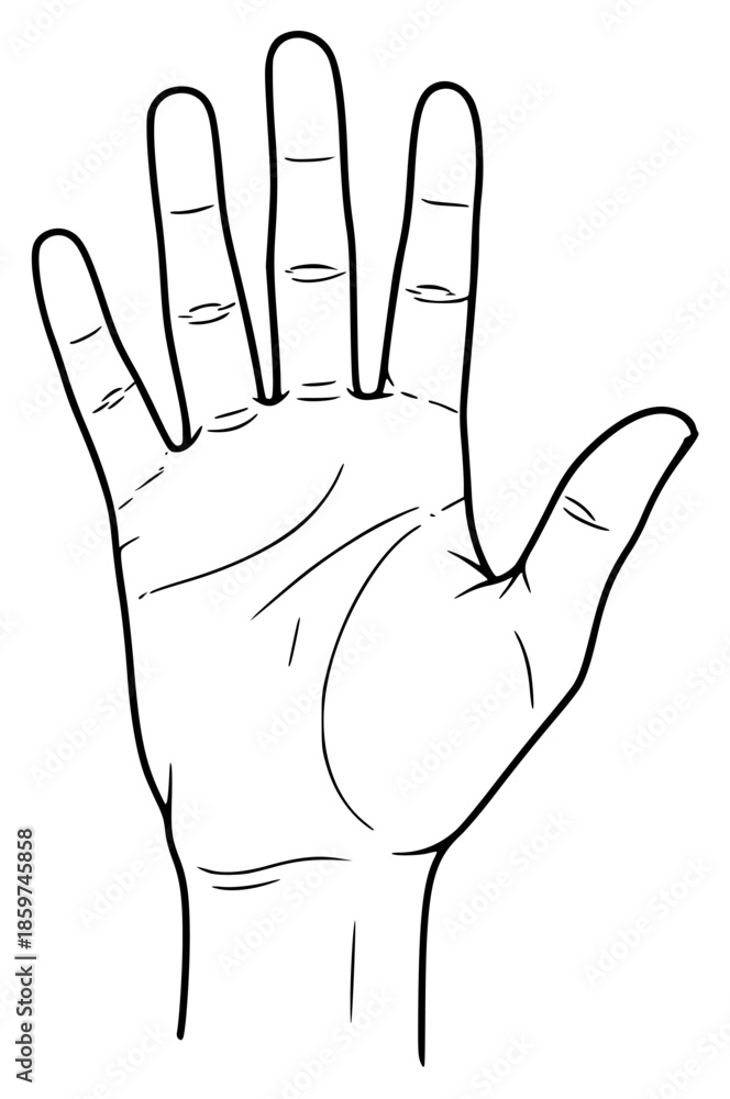 Obraz premium a black and white outline of a hand showing the palm of the hand to the viewer, black, drawing, finger, hand, illustration, open, outline, palm, show, viewer, against transparent background